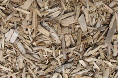 biomass boilers Woodhatch